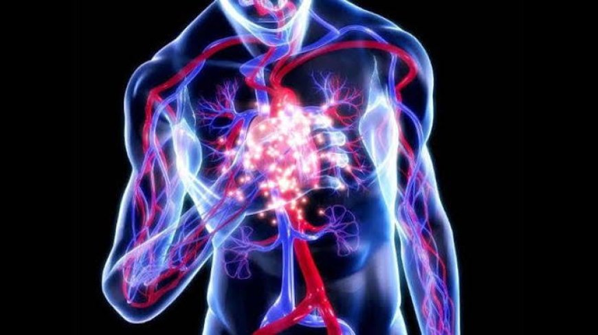 Akciğer Embolisi Nedir? Belirtileri, Nedenleri ve Tedavi Yöntemleri
