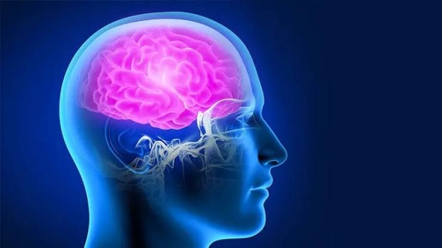 Anevrizma Nedir? Belirtileri, Türleri, Teşhisi ve Tedavisi